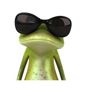 3D立体感汽车贴纸 搞笑卡通青蛙车贴避祸 壁虎车贴 逼真个性贴纸