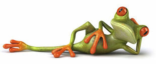 3D立体感汽车贴纸 搞笑卡通青蛙车贴避祸 壁虎车贴 逼真个性贴纸