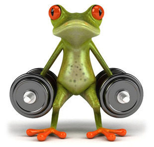 3D立体感汽车贴纸 搞笑卡通青蛙车贴避祸 壁虎车贴 逼真个性贴纸