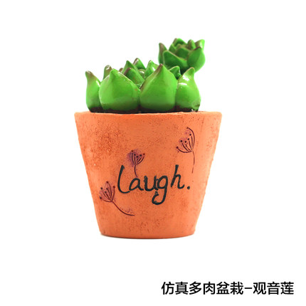 如果zakka创意迷你多肉植物小盆栽仙人掌花卧室家居装饰小摆设
