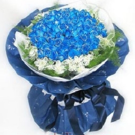 Girlfriend lover anniversary flower delivery Beijing Shanghai Tianjin city of Sanmenxia 99 Blue Rose Florist
