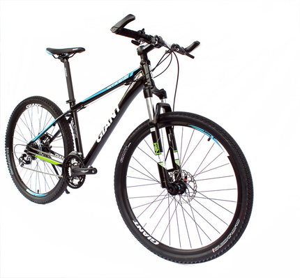 giant 24 inch mountain bike